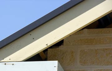 Common Platt fascia repairs