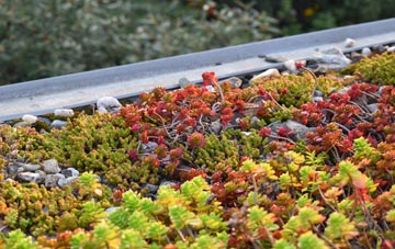 the cost of Common Platt green roof installation