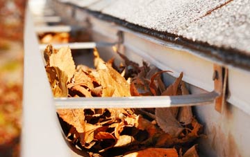 Common Platt gutter cleaning companies