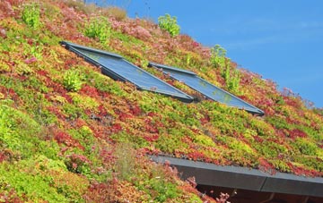 Common Platt living roof systems